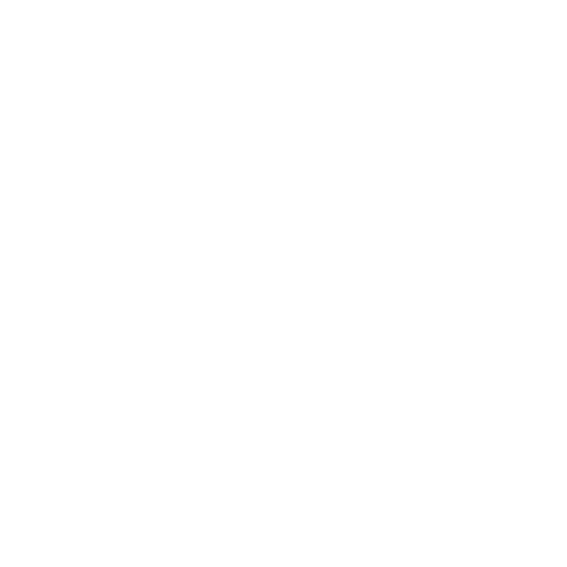 Tire Shine