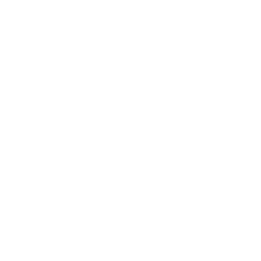 Wheel Cleaner